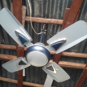 4 Wings Selling Fan